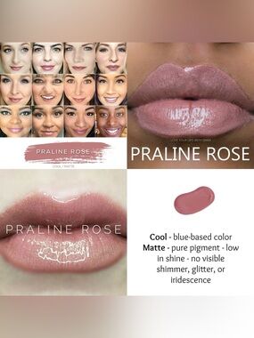 LipSense Praline Rose Cool Matte Lip Color - Dusty Rose Pink
